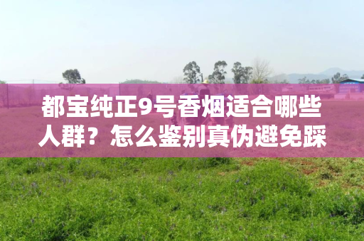 都宝纯正9号香烟适合哪些人群？怎么鉴别真伪避免踩坑？